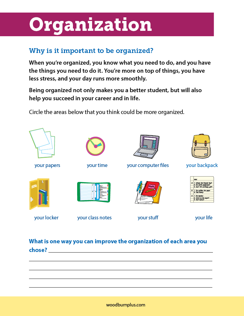 Organization