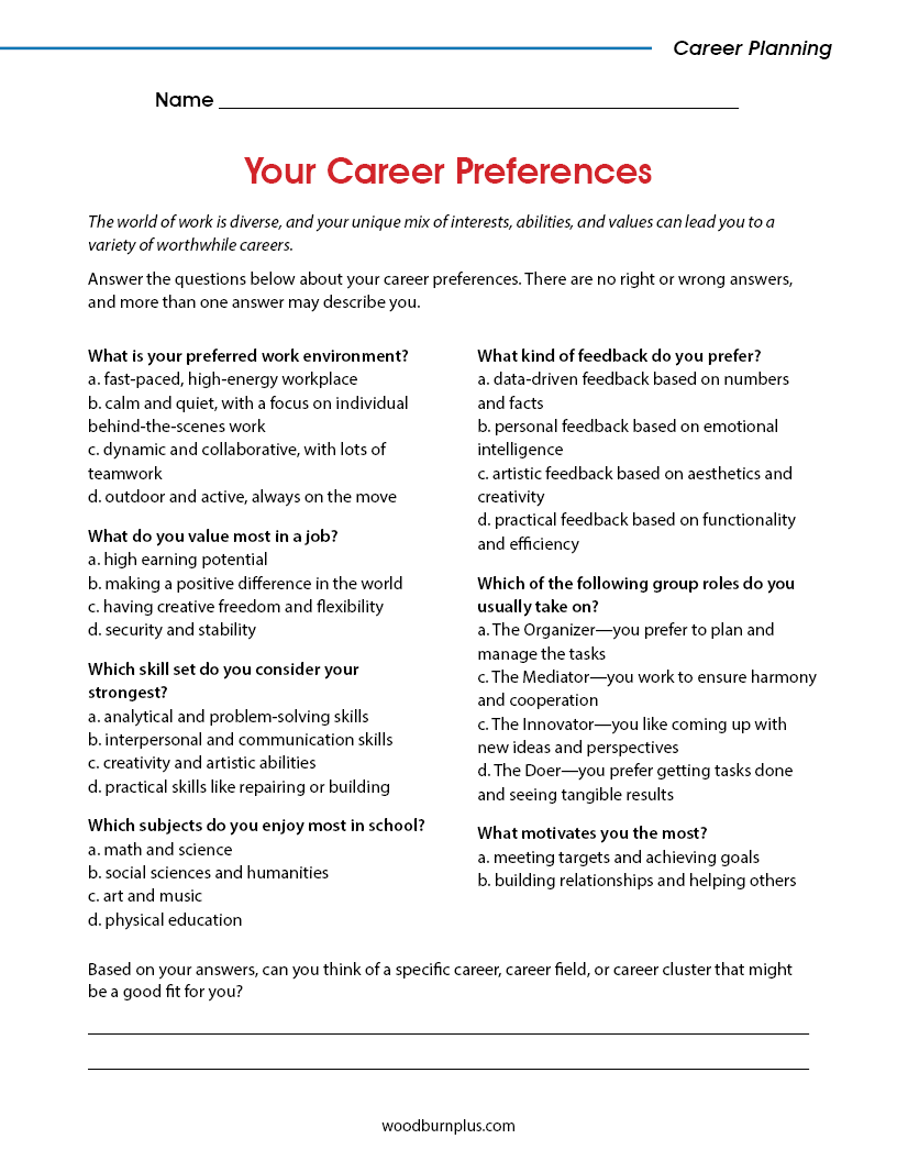 Your Career Preferences