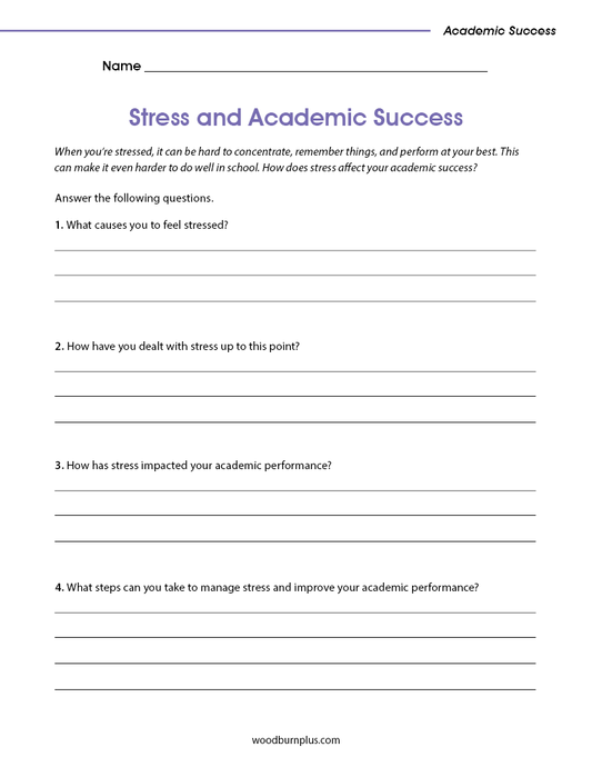 Stress and Academic Success
